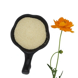 Factory Price Food Ingredient/ Additive Food grade Gelatin 160bloom